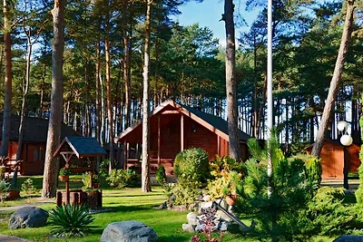 Ferienhaus 30 m vom Strand-B