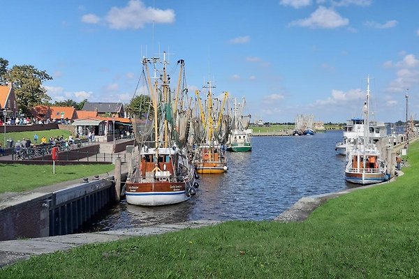 Ferienwohnung Eversmeer