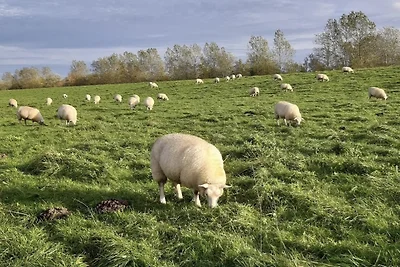 Ferienwohnung  am Ewigen Meer