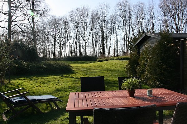 Ferienhaus Aquadelta