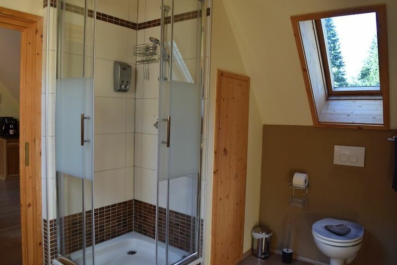 Dachgeschoss: Tageslichtbad mit Dusche und WC und mit Infrarotkabine