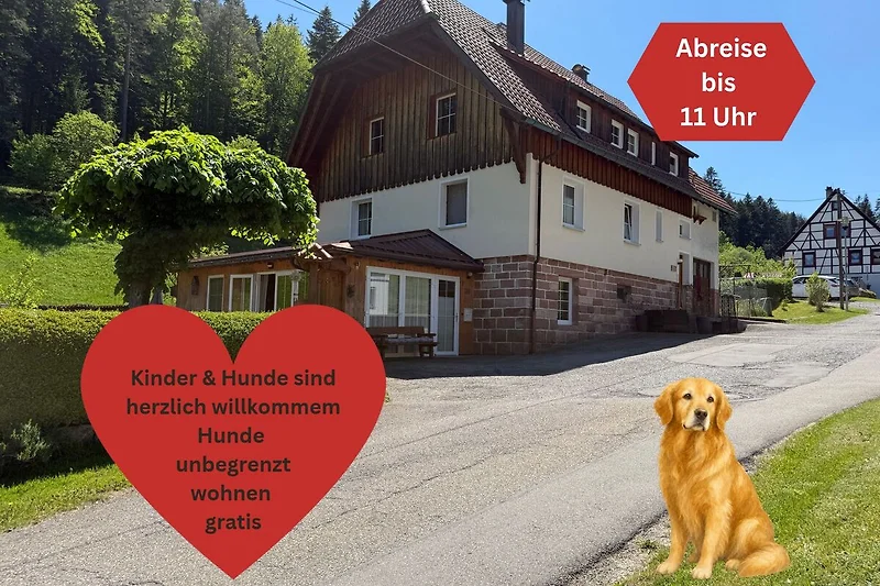 Fachwerkhaus mit rotem Dach und grünem Garten