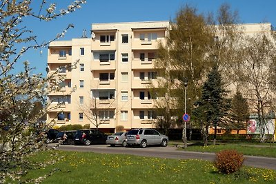 Ferienwohnung STAR in Kolberg