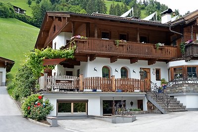 Holiday flat family holiday Mayrhofen-Hippach