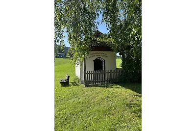 Casa vacanze Vacanza di relax Innerschwand