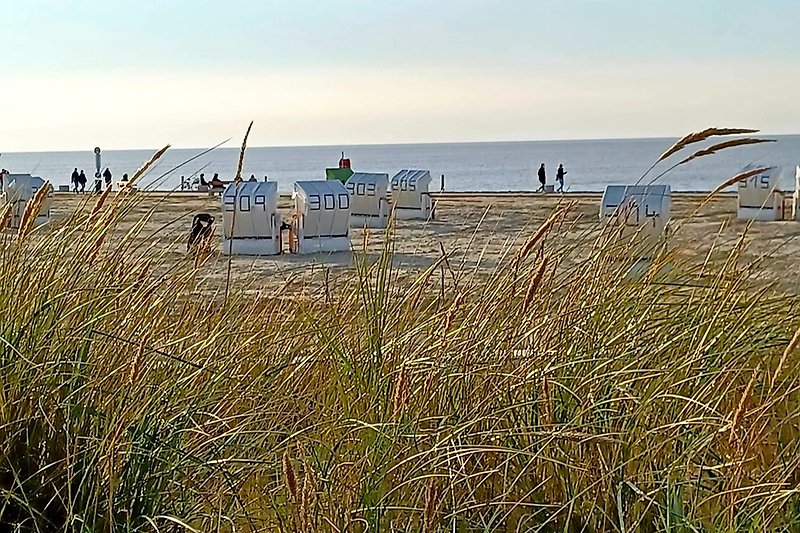 Strandleben Norddeich