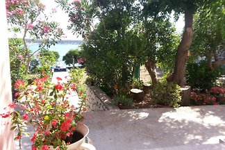 Villa Milica