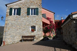 Cà rosa de Carlevui