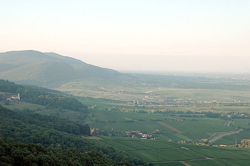 View from Madenburg