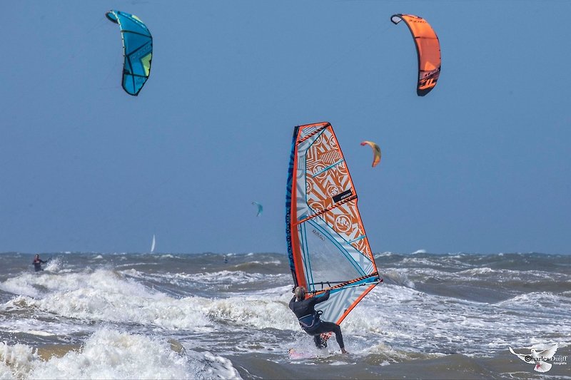 Wind surfing Zandvoort