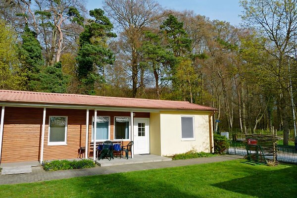 Ferienhaus Koserow