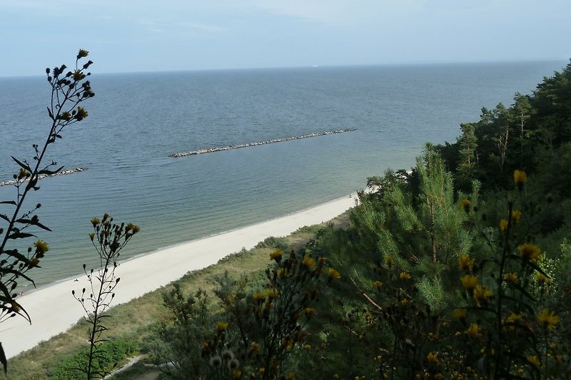 Blick vom Streckelsberg zur Ostsee
