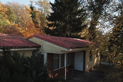 Bungalow Lea