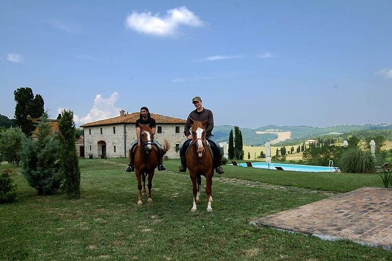 horse near the villa