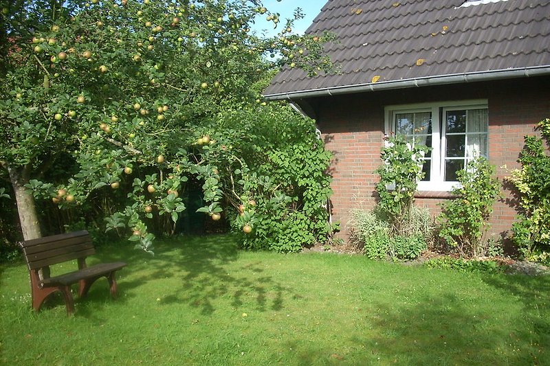 Garten mit Apfelbaum