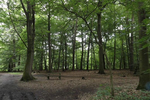 Huren In Delmenhorst Huren In Delmenhorst