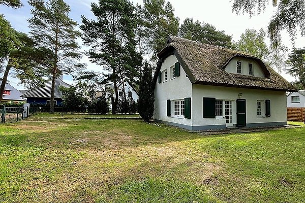 Ferienhaus Glowe