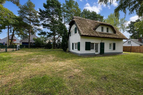 Ferienhaus Glowe