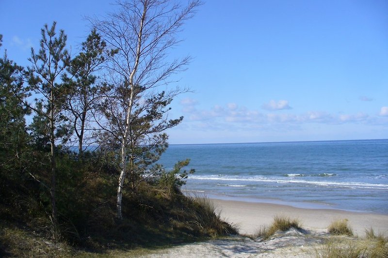 Plaża nad Morzem Bałtyckim na Rugii