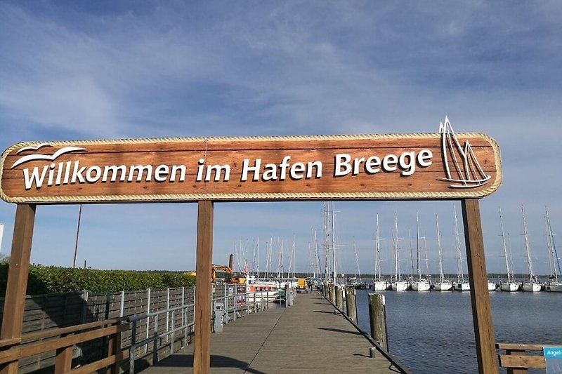 Hafen Breege