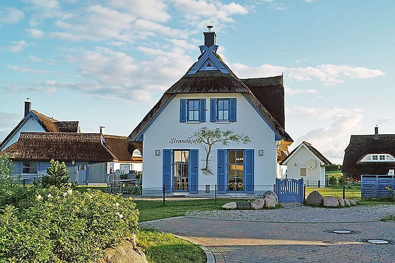 Hauptansicht