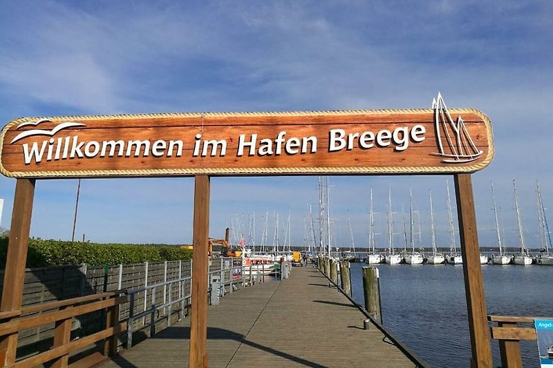 Hafen Breege
