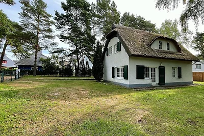 Ruheinsel