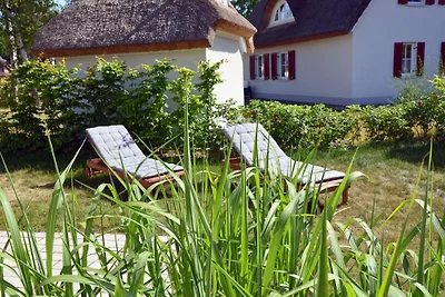 Riethuis Zeegras