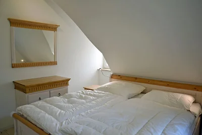 Regenpfeifer