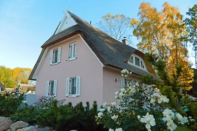 Strandvilla La vie en Rose