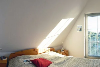 Alba