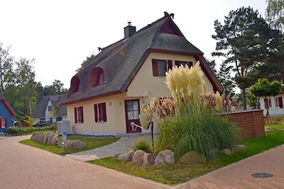 Aalhus