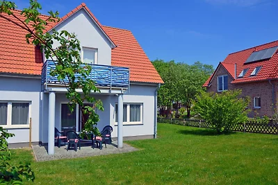 Windland 1