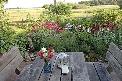 Boddengarten Stertur