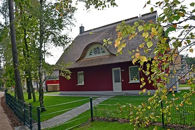 Regenpfeifer