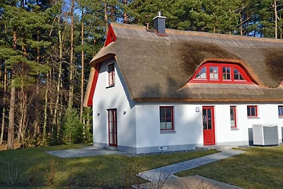 Sandregenpfeifer