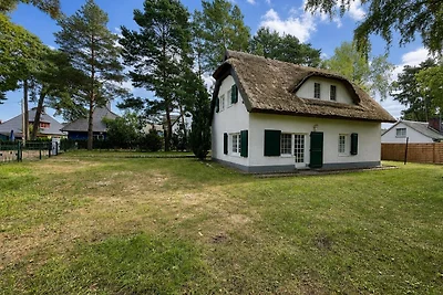 Ruheinsel