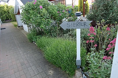 Boddengarten Stertur
