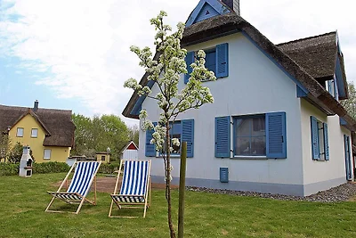 Seepferdchen