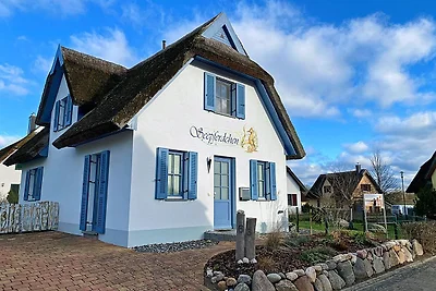 Seepferdchen