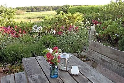 Boddengarten Stertur