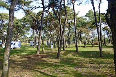 Wallocha