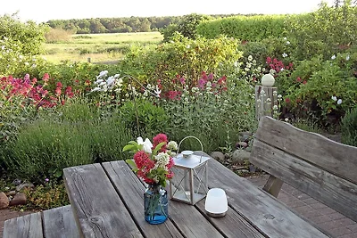 Giardino Bodden Stertur