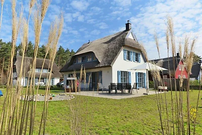 Dünenrose