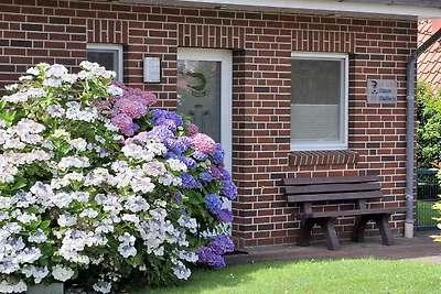 Ferienhaus Dalben Greetsiel