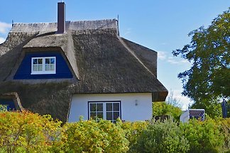 Das Walnusshaus