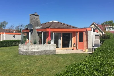 Zeester 252 Strandslag Toewe