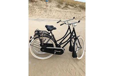 Yp19 eingezäunt/Sauna/Kamin/Hund