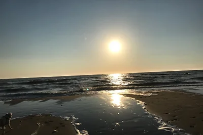 Yp17  Kamin/eingezäunt/Sauna/Hund