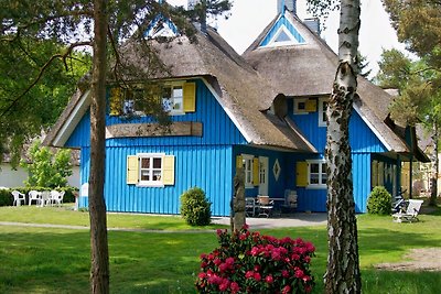 Huis met rieten dak Languste, Darß/Baltische Zee